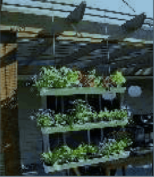 Parque Nacional de la Uva