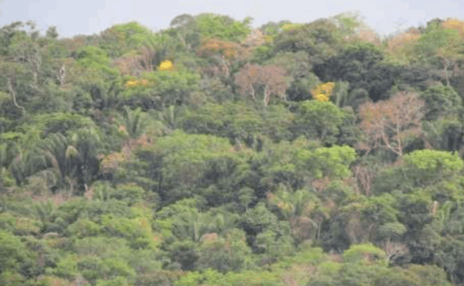 Parque Nacional de la Uva