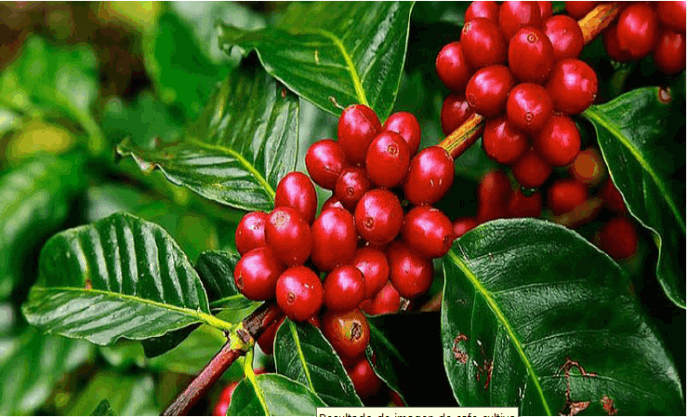 Parque Nacional de la Uva