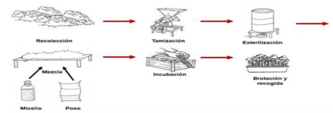 Parque Nacional de la Uva