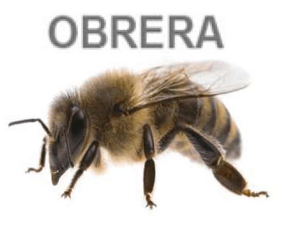 Parque Nacional de la Uva