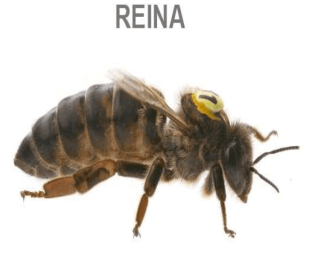 Parque Nacional de la Uva