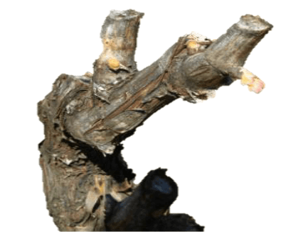 Parque Nacional de la Uva