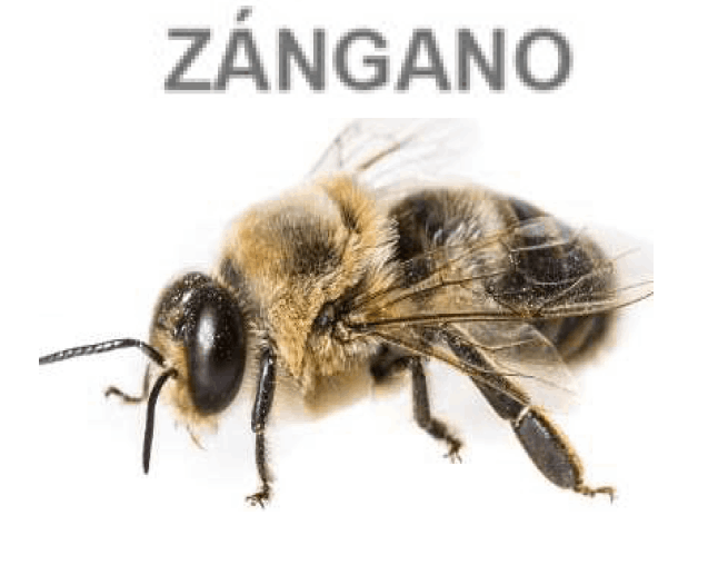 Parque Nacional de la Uva